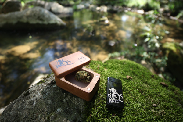 Plasma Feuerzeug RQS