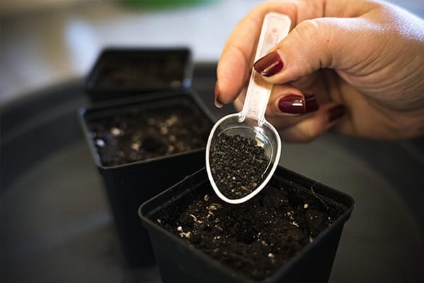 Easy Roots - Mykorrhiza Mix Easy Roots - Mykorrhiza Mix